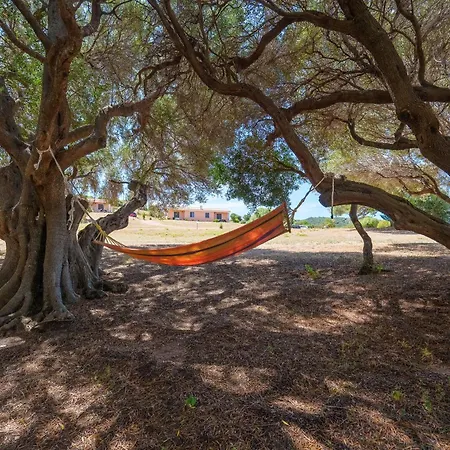 Casa Lentischio Piscina Evista Mare *
